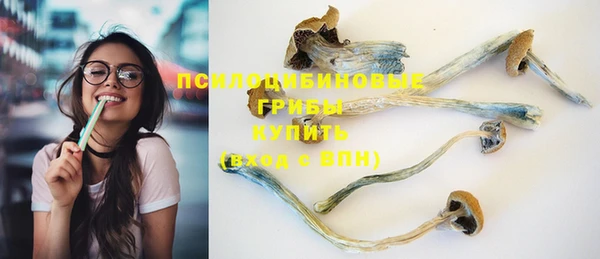mdpv Ельня