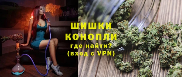 mdpv Ельня
